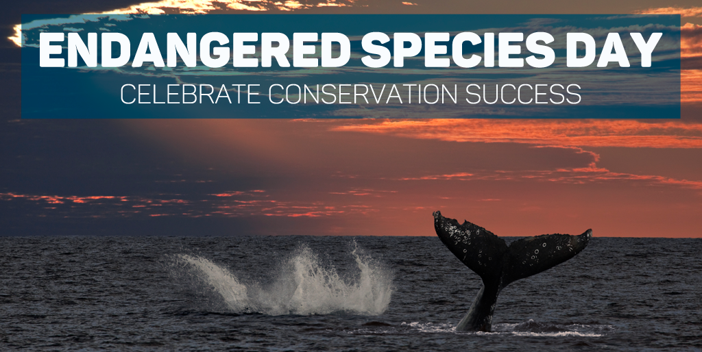 Endangered Species Day Marks Its 20th Anniversary