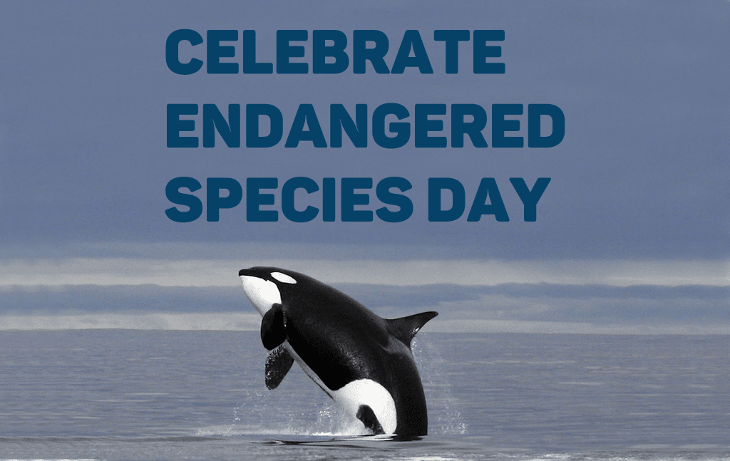 U.S. Celebrating Endangered Species Day on May 17 - Endangered Species ...