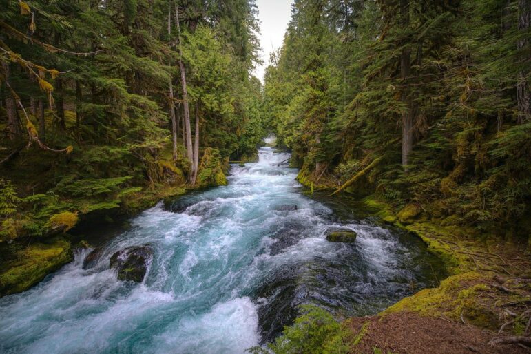 Water flowing over rapids on river