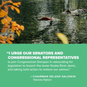 "I urge our senators and congressional representatives to join Congressman Simpson in advocating for legislation to breach the lower Snake River dams, and taking bold action to restore our salmon." - Chairman Delano Saluskin, Yakama Nation