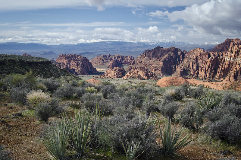 Bipartisan Resolution Introduced in Colorado General Assembly to Protect Wildlife Corridors