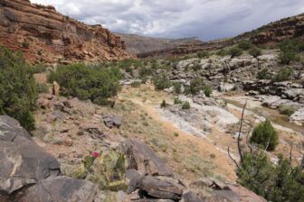 Rocky, mountainous trail in Colorado