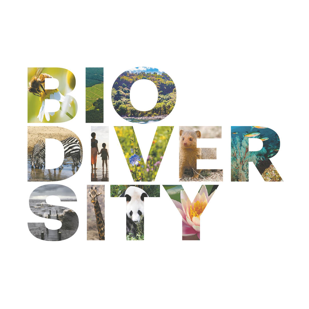 Conservation, Health Organizations Unite in Urgent Appeal for Federal Biodiversity Strategy