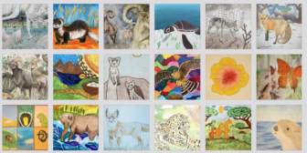 A sampling of entires from the 2022 Saving Endangered Species Youth Art contest arranged in a grid