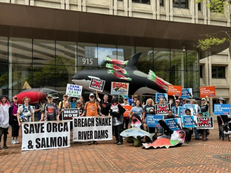 Protestors at rally hold signs in front of inflatable orca and salmon
