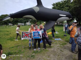 Activists hold signs in front of inflatable orca prop at rally. Sunny background on grass.