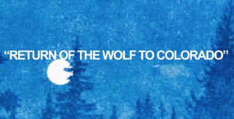 Return of the Wolf to Colorado video