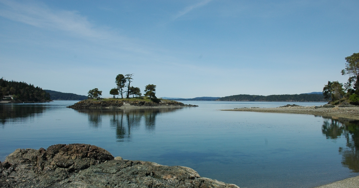 New Research: As “Connector Species,” Birds Are Essential to the Health of Both Islands and Oceans