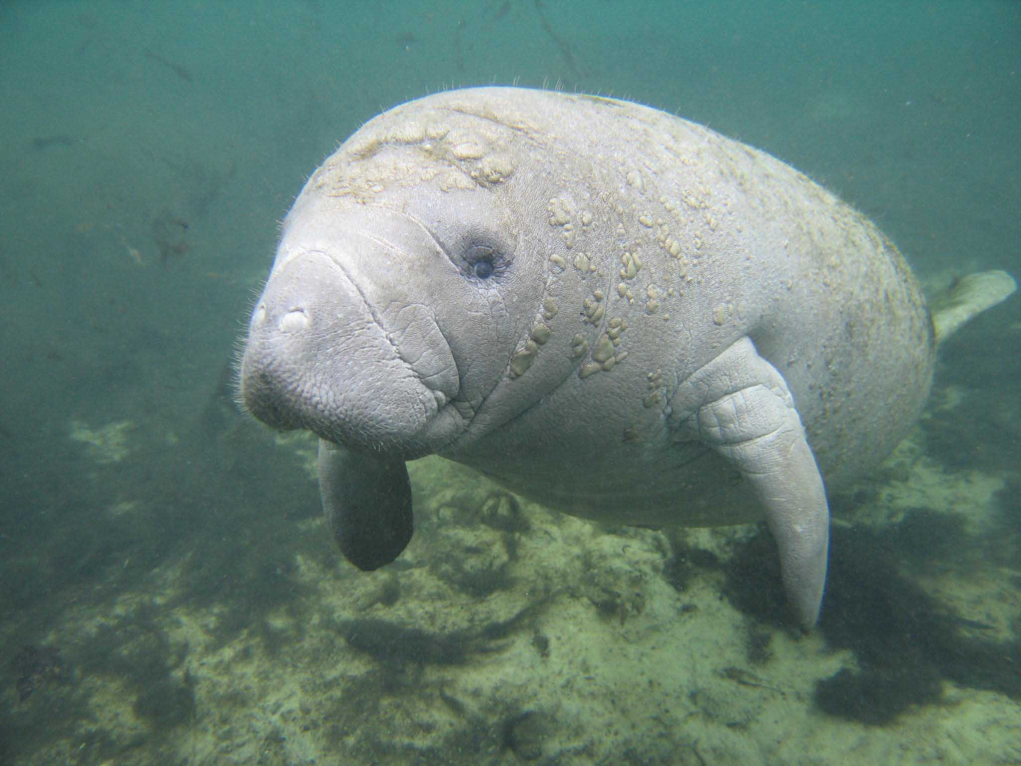 Saving Species Newsletter Spring 2024