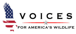 Wildlife Voices logo