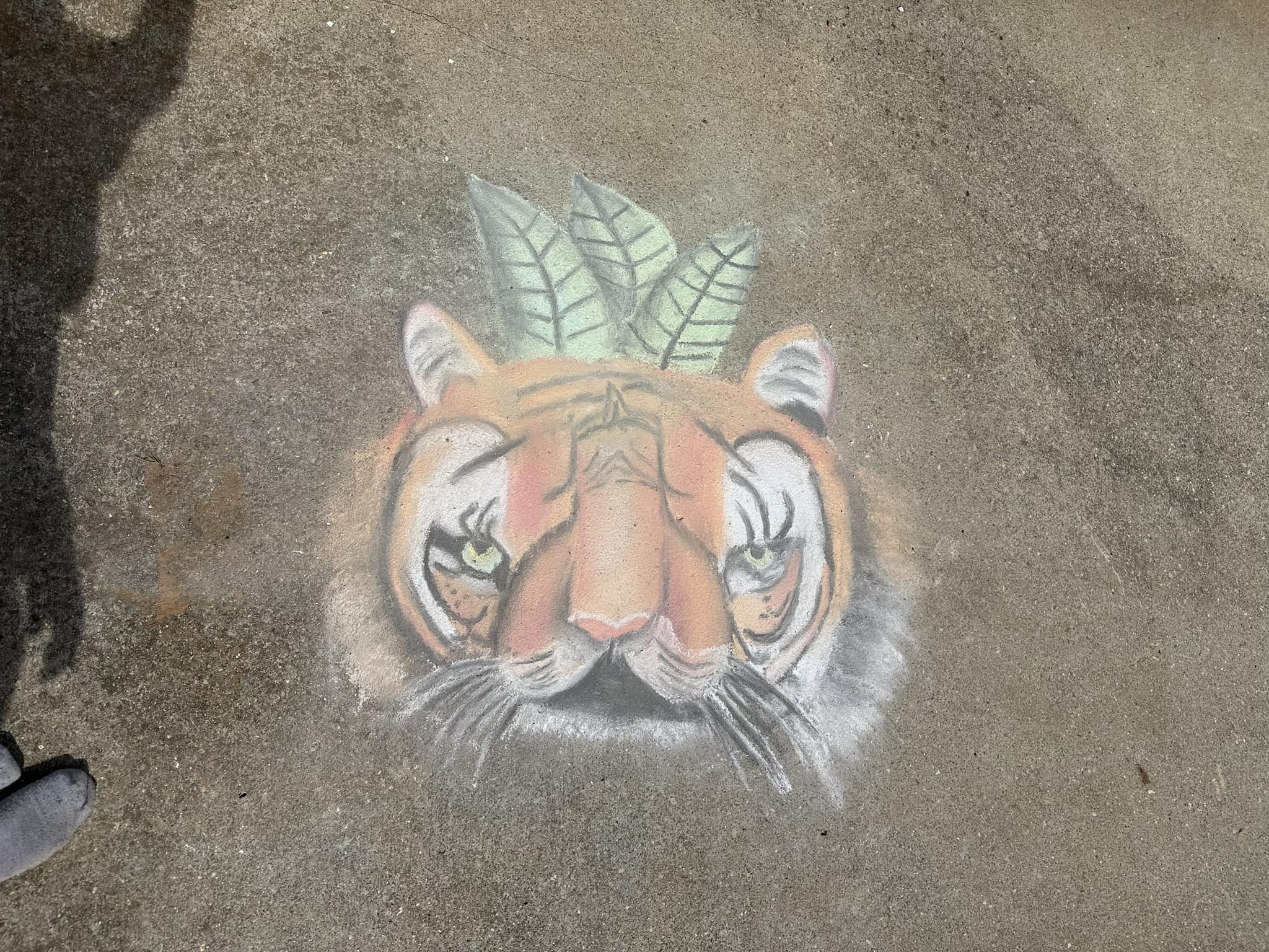 Congressional Attacks on Endangered Species, New ESC Film on Colorado Wolves, Honoring Pete McCloskey and Chalk Art Contest Winners and More – The Saving Species Newsletter – Summer 2024