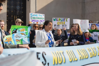 Alt text: A group of wildlife and climate activists stand on building steps holding colorful protest signs. A speaker speaks at a podium.