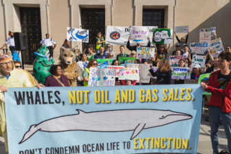 Alt text: A group of wildlife and climate activists stand on building steps holding colorful protest signs.