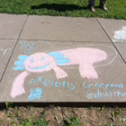 Large chalk drawing of a smiling pink axolotl with blue gills and bubbles above its head, with “Axolotls” written below.