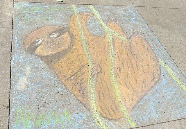 Chalk drawing of a brown sloth hanging from green branches against a blue background.