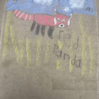 NataliaMedina_Grade1_Red Panda - irena Medina