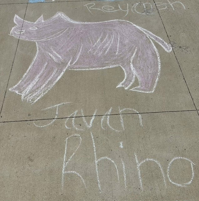Chalk drawing of a purple-gray Javan rhino walking across a sidewalk, with “Javan Rhino” written below.