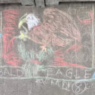 ZacharyLeavenworth_Grade2_BaldEagle - Sarah K