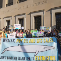 Alt text: A group of wildlife and climate activists stand on building steps holding colorful protest signs.