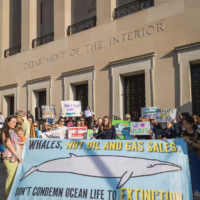 Alt text: A group of wildlife and climate activists stand on building steps holding colorful protest signs.