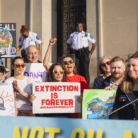Alt text: A female protestor stands at a rally holding a home made sign that reads "Extinction is Forever"