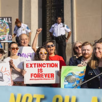 Alt text: A female protestor stands at a rally holding a home made sign that reads "Extinction is Forever"