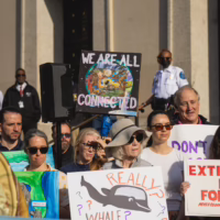 Alt text: A group of wildlife and climate activists stand on building steps holding colorful protest signs.