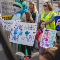 Alt text: A group of wildlife and climate activists stand on building steps holding colorful protest signs.