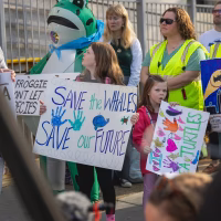 Alt text: A group of wildlife and climate activists stand on building steps holding colorful protest signs.