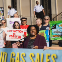 Alt text: A group of wildlife and climate activists stand on building steps holding colorful protest signs. A speaker speaks at a podium.