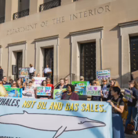 Alt text: A group of wildlife and climate activists stand on building steps holding colorful protest signs.