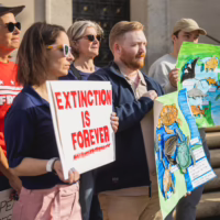 Alt text: A female protestor stands at a rally holding a home made sign that reads "Extinction is Forever"