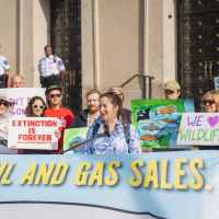 Alt text: A group of wildlife and climate activists stand on building steps holding colorful protest signs.