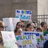 Alt text: A group of wildlife and climate activists stand on building steps holding colorful protest signs.