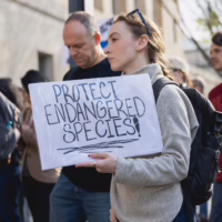 Alt text: A female protestor stands at a rally holding a home made sign that reads "protect endangered species"