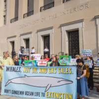 Alt text: A group of wildlife and climate activists stand on building steps holding colorful protest signs.