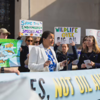 Alt text: A group of wildlife and climate activists stand on building steps holding colorful protest signs. A speaker speaks at a podium.
