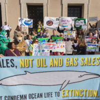 Alt text: A group of wildlife and climate activists stand on building steps holding colorful protest signs.