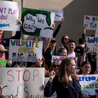 Alt text: A group of wildlife and climate activists stand on building steps holding colorful protest signs. Susan Holmes leads the protest in the front.
