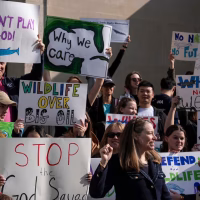 Alt text: A group of wildlife and climate activists stand on building steps holding colorful protest signs. Susan Holmes leads the protest in the front.