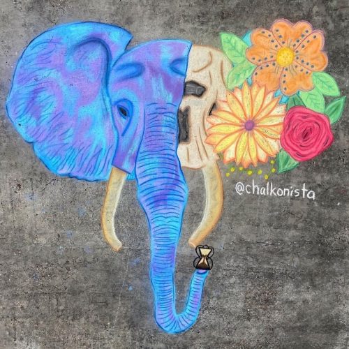Elephant Chalk Art