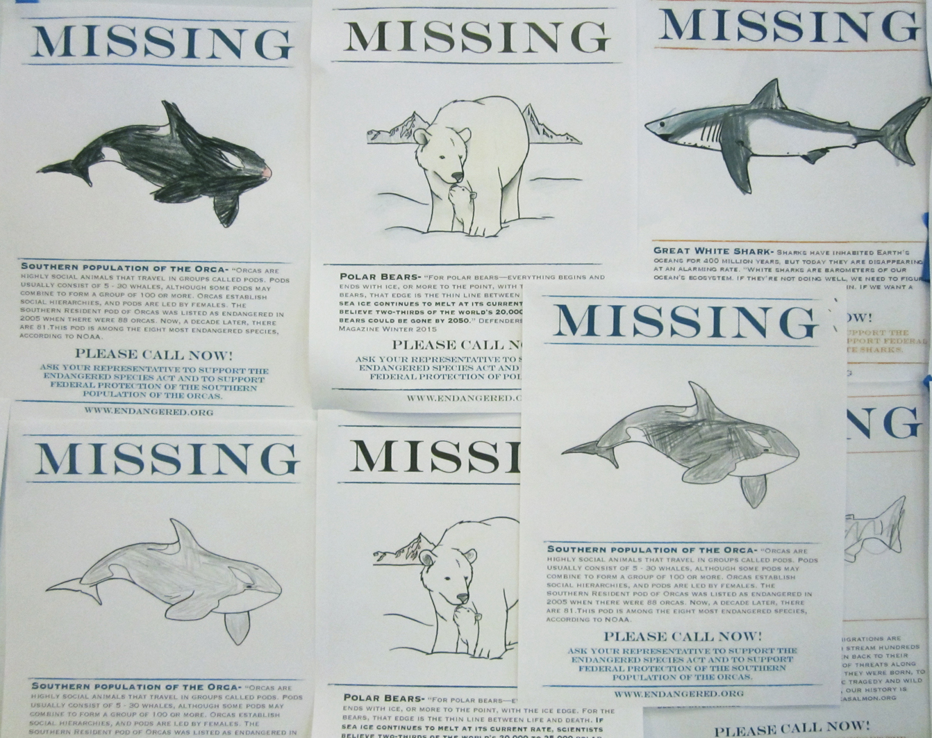 Missing Species Reports - Endangered Species Coalition