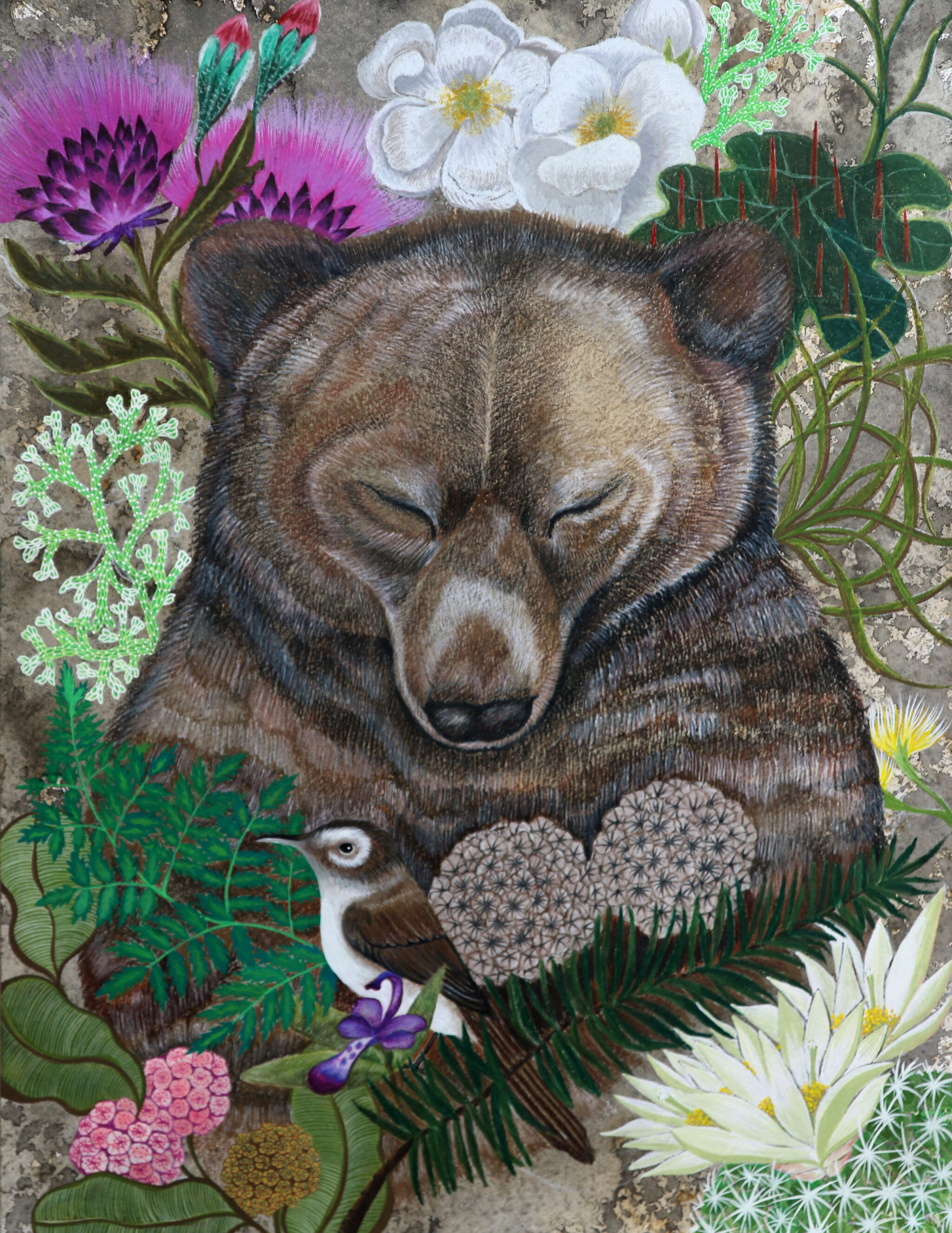 Winners Announced in 2016 Saving Endangered Species Youth Art Contest